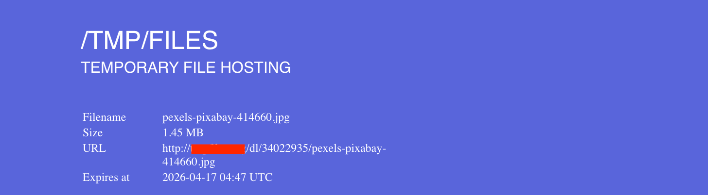 A screenshot of a typical file sharing tool with a long URL, showing how it can be difficult to type on a different device.